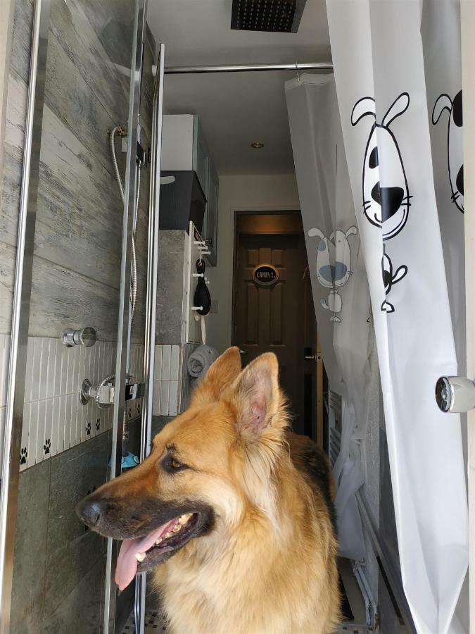 Dog Friendly Nancecliff Cottages Looe Exterior foto