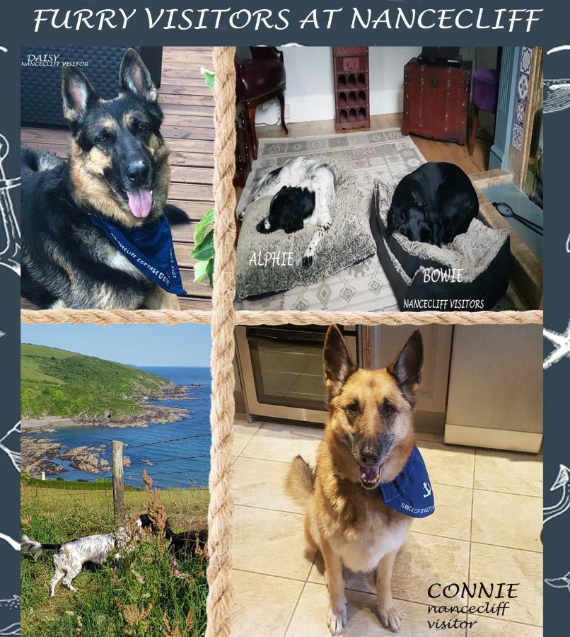 Dog Friendly Nancecliff Cottages Looe Exterior foto